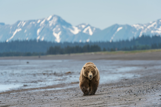 Lake Clark National Park