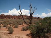 Arches National Park