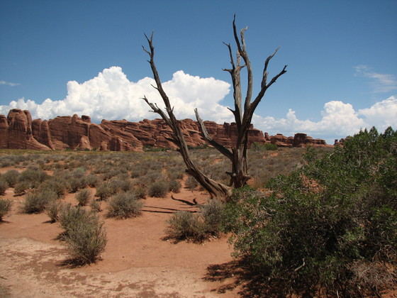 Arches National Park