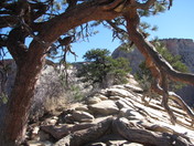 Zion National Park