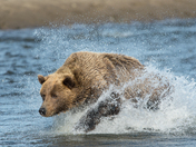 Lake Clark National Park