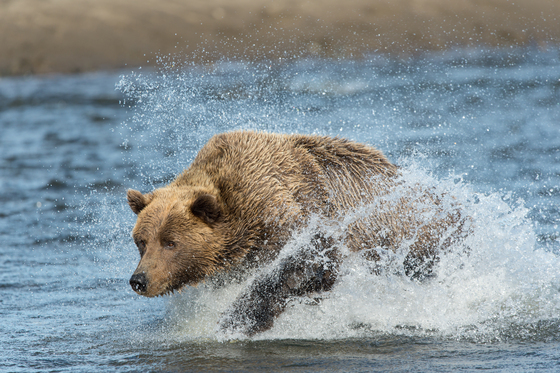 Lake Clark National Park