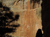 Zion National Park