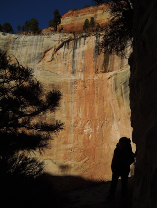 Zion National Park