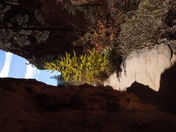 Zion National Park