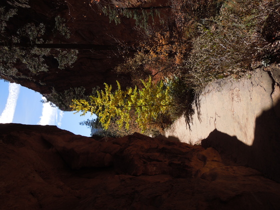 Zion National Park