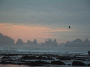 Olympic National Park