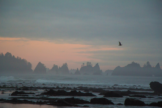 Olympic National Park