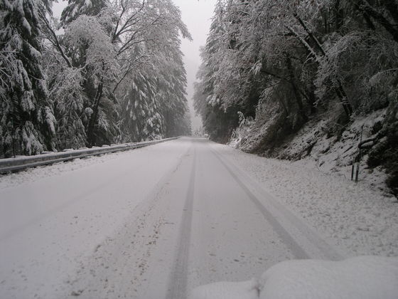 Tahoe National FOrest