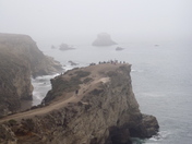 Point Reyes National Seashore
