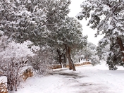 Grand Canyon National Park