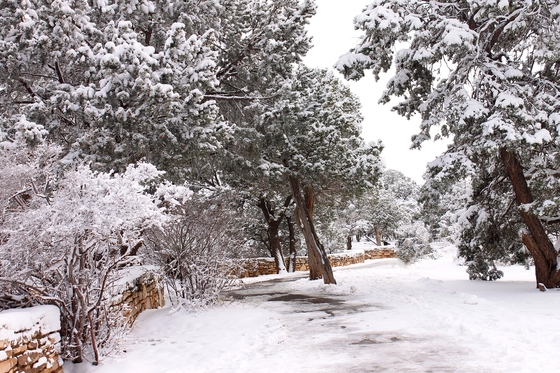 Grand Canyon National Park