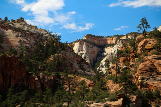 Zion National Park