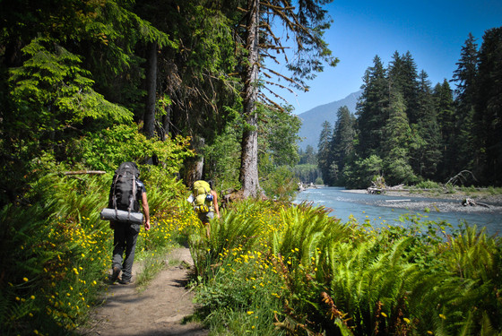 Olympic National Park