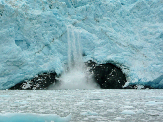 Kenai Fjords National Park