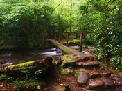 Great Smoky Mountains National Park