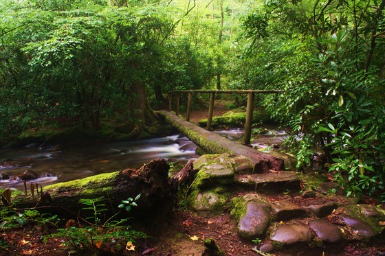 Great Smoky Mountains National Park