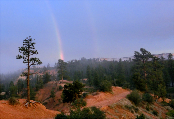Bryce Canyon NP