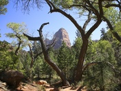 zion nat. park