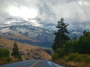 Inyo National Forest
