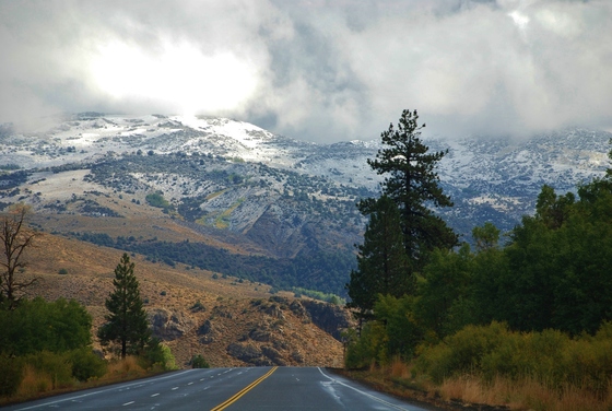 Inyo National Forest