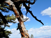 Great Basin National Park