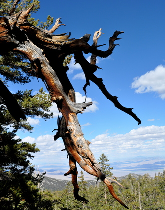 Great Basin National Park