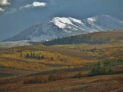 Inyo National Forest