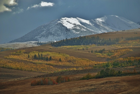Inyo National Forest