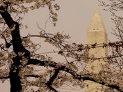 The Washington Monument