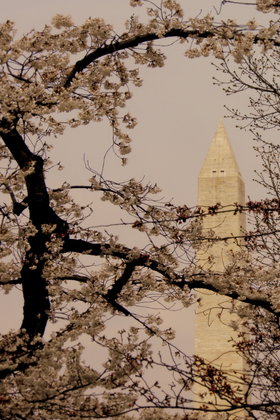 The Washington Monument
