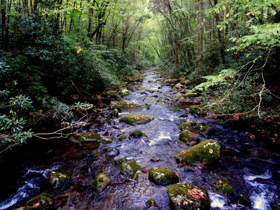 Great Smoky Mountain National Park
