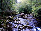 Great Smoky Mountain National Park