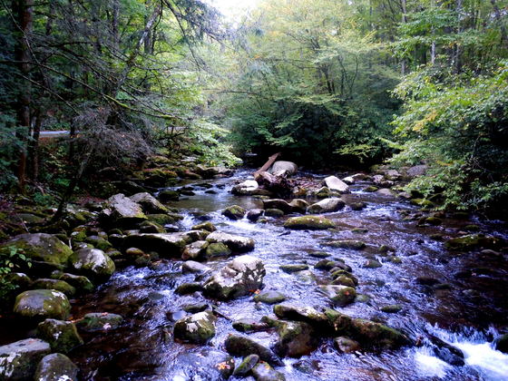 Great Smoky Mountain National Park