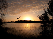 Everglades National Park