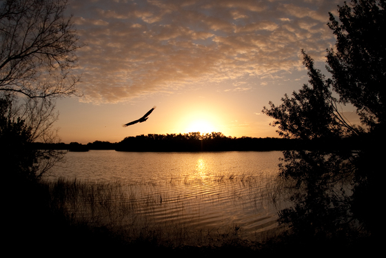 Everglades National Park
