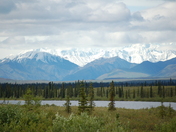 Denali National Park