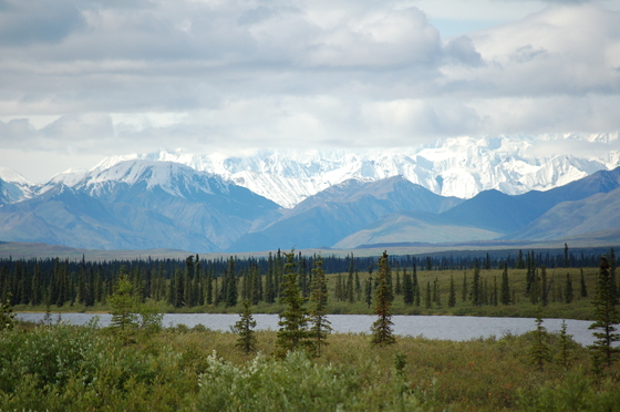 Denali National Park