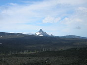 Willamette National Forest