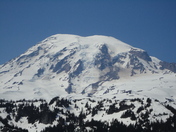 Mt. Rainier