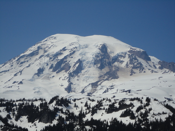Mt. Rainier
