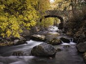 Uinta National Forest