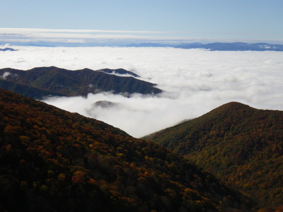 Great Smokies National Park