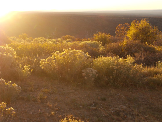 Mesa Verde National Park