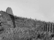 Tallgrass Prairie National Preserve