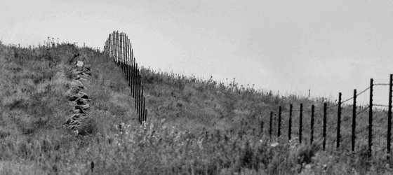 Tallgrass Prairie National Preserve