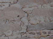 Mesa Verde National Park