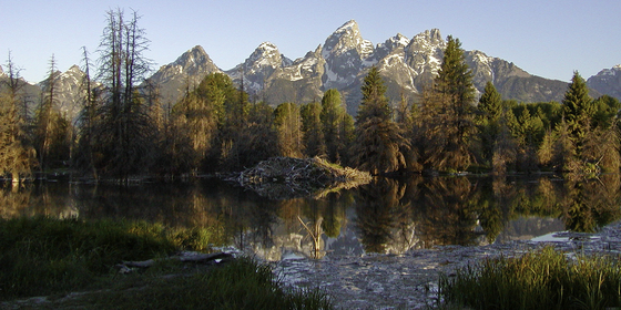 Grand Teton National Park