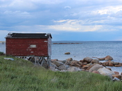 Musgrave Harbour Shed