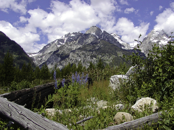 grand teton National Park